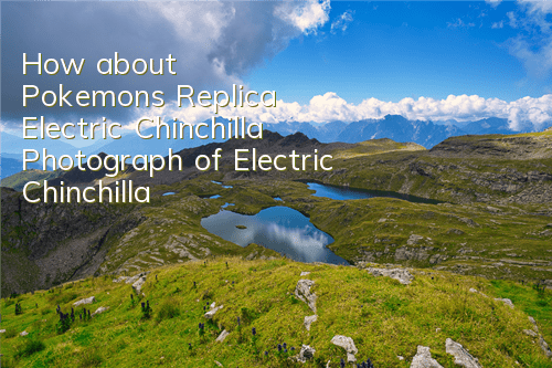 How about Pokemon's Replica Electric Chinchilla? Photograph of Electric Chinchilla