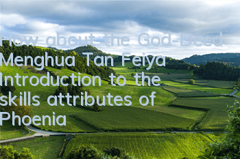 How about the God-Deed Menghua Tan Feiya? Introduction to the skills attributes of Phoenia