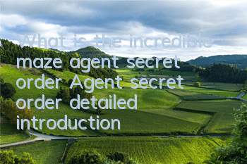 What is the incredible maze agent secret order? Agent secret order detailed introduction