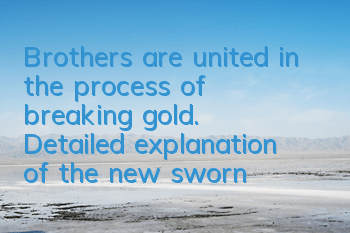 Brothers are united in the process of breaking gold. Detailed explanation of the new swornship system of Shenwu 2 mobile game