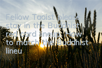Fellow Taoist please stay in the Buddhist red card lineup. How to match the Buddhist lineup