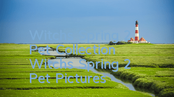 Witch's Spring 2 Pet Collection Witch's Spring 2 Pet Pictures