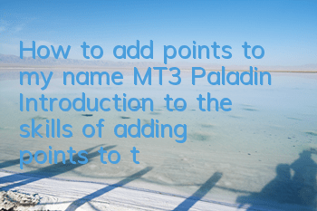 How to add points to my name MT3 Paladin? Introduction to the skills of adding points to the Turtle Paladin