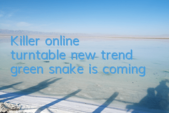Killer online turntable new trend, green snake is coming