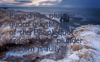 Expedition, plunder, guard 