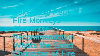 Pokemon's Replica Fire Monkey's Character Recommendation What's the Good Character of Fire Monkey