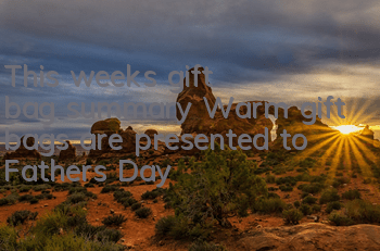 This week's gift bag summary Warm gift bags are presented to Father's Day