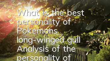 What is the best personality of Pokemon's long-winged gull? Analysis of the personality of Long-winged gull