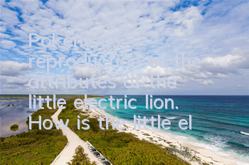 Pokemon's reproduction of the attributes of the little electric lion. How is the little electric lion?