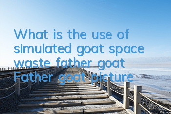 What is the use of simulated goat space waste father goat Father goat picture