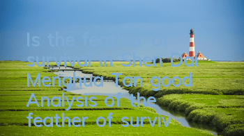 Is the feather of survival in Shen Dai Menghua Tan good? Analysis of the feather of survival in Shen Dai