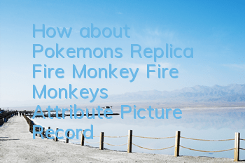 How about Pokemon's Replica Fire Monkey? Fire Monkey's Attribute Picture Record