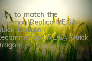 How to match the Pokemon Replica MEGA Quick Dragon? Recommended MEGA Quick Dragon