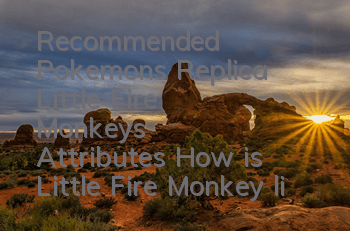 Recommended Pokemon's Replica Little Fire Monkey's Attributes How is Little Fire Monkey like