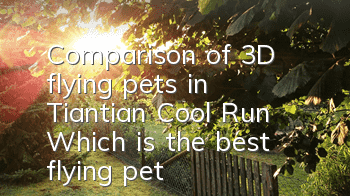 Comparison of 3D flying pets in Tiantian Cool Run Which is the best flying pet