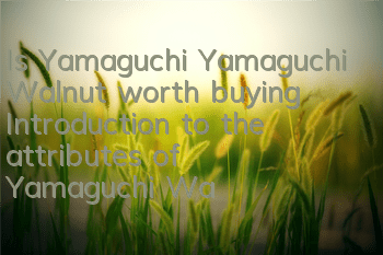 Is Yamaguchi Yamaguchi Walnut worth buying? Introduction to the attributes of Yamaguchi Walnuts