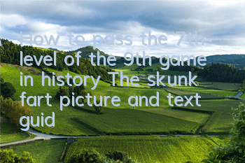 How to pass the 7th level of the 9th game in history? The skunk fart picture and text guide