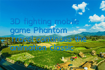 3D fighting mobile game 