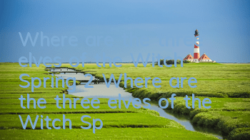 Where are the three elves of the Witch Spring 2? Where are the three elves of the Witch Spring 2?