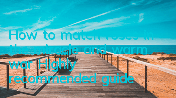 How to match roses in the miracle and warm war? Highly recommended guide