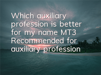 Which auxiliary profession is better for my name MT3? Recommended for auxiliary professions for my name?