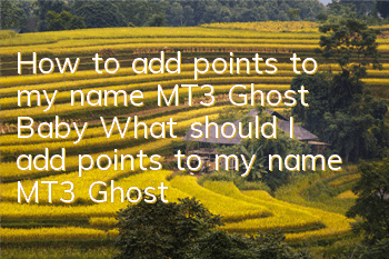 How to add points to my name MT3 Ghost Baby? What should I add points to my name MT3 Ghost Baby? Guide