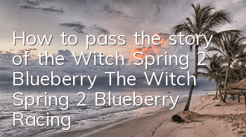 How to pass the story of the Witch Spring 2 Blueberry? The Witch Spring 2 Blueberry Racing Guide