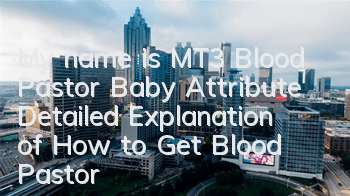 My name is MT3 Blood Pastor Baby Attribute Detailed Explanation of How to Get Blood Pastor Baby