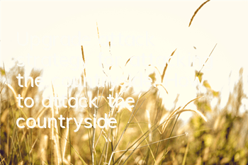 Upgrade attack strategy for attacking the countryside. How to attack the countryside?