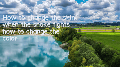 How to change the skin when the snake fights, how to change the color