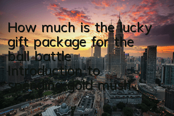 How much is the lucky gift package for the ball battle? Introduction to spending gold mushrooms