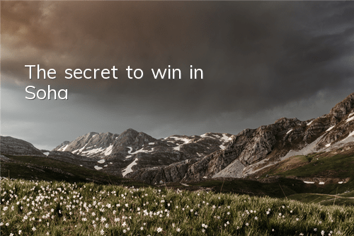 The secret to win in Soha