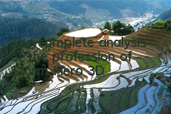 The complete analysis of the profession of 