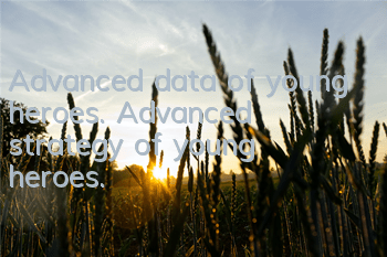 Advanced data of young heroes. Advanced strategy of young heroes.