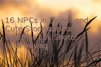 16 NPCs in 