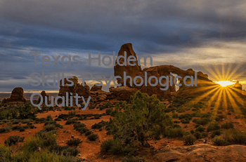 Texas Hold'em Skills: Psychological Quality