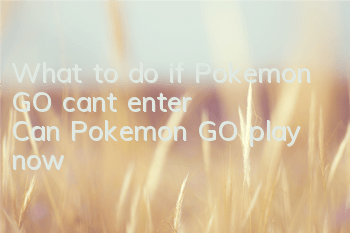 What to do if Pokemon GO can't enter? Can Pokemon GO play now