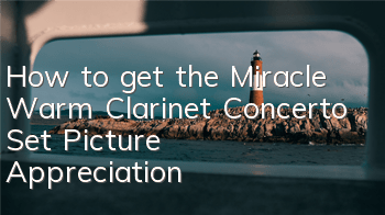 How to get the Miracle Warm Clarinet Concerto Set Picture Appreciation