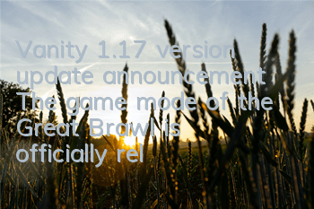 Vanity 1.17 version update announcement The game mode of the Great Brawl is officially released