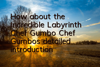 How about the Incredible Labyrinth Chef Gumbo? Chef Gumbo's detailed introduction