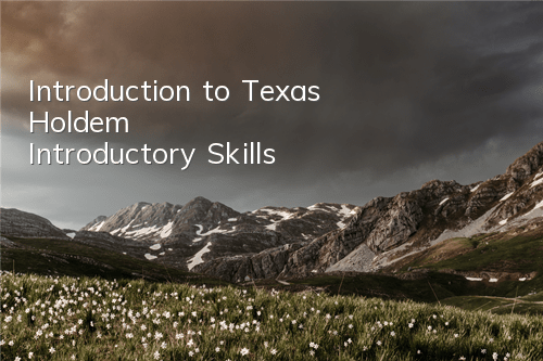 Introduction to Texas Hold'em Introductory Skills