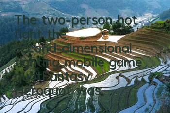 The two-person hot fight, the second-dimensional fighting mobile game 