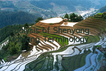 Analysis of Shenyang Mahjong Terminology