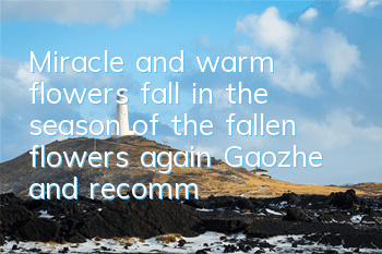 Miracle and warm flowers fall in the season of the fallen flowers again, Gaozhe and recommended strategies