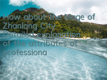 How about the Mage of Zhanlong City? Detailed explanation of the attributes of professional mages