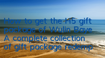 How to get the H5 gift package of Wulin Baye? A complete collection of gift package redemption code activation codes