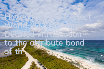How about the Perfect World 3D Shi Heng? Detailed introduction to the attribute bond of the hero Shi Heng