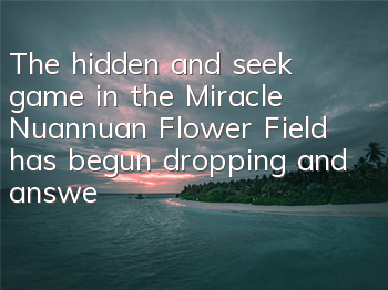 The hidden and seek game in the Miracle Nuannuan Flower Field has begun dropping and answers
