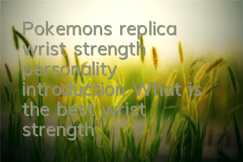 Pokemon's replica wrist strength personality introduction What is the best wrist strength personality