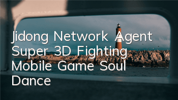 Jidong Network Agent Super 3D Fighting Mobile Game 